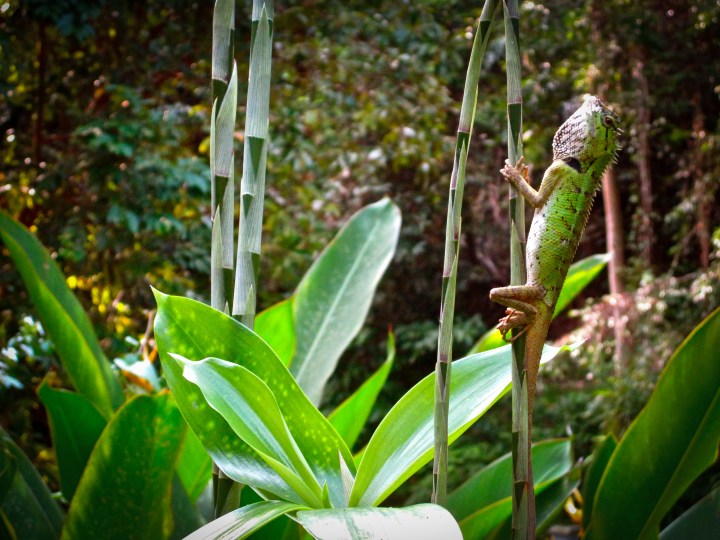 property of nina shadi and with an open heart 