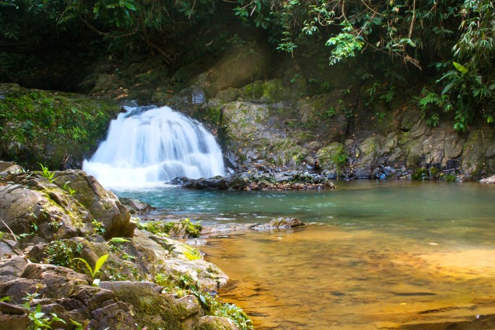 property of nina shadi and with an open heart 