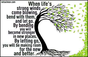 With an open heart blog