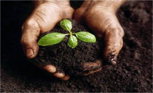 personal growth. with an open heart blog. 