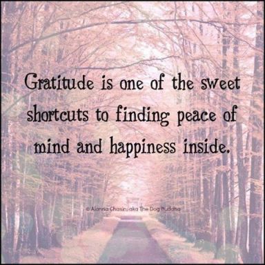 gratitude