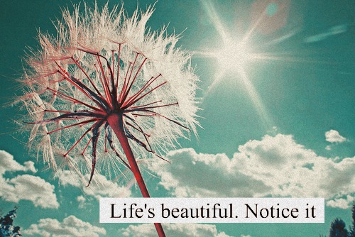 Life's beautiful notice it